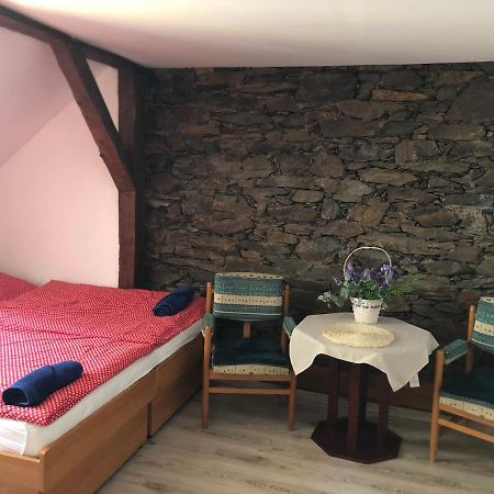 U Monka Apartman Jáchymov Kültér fotó